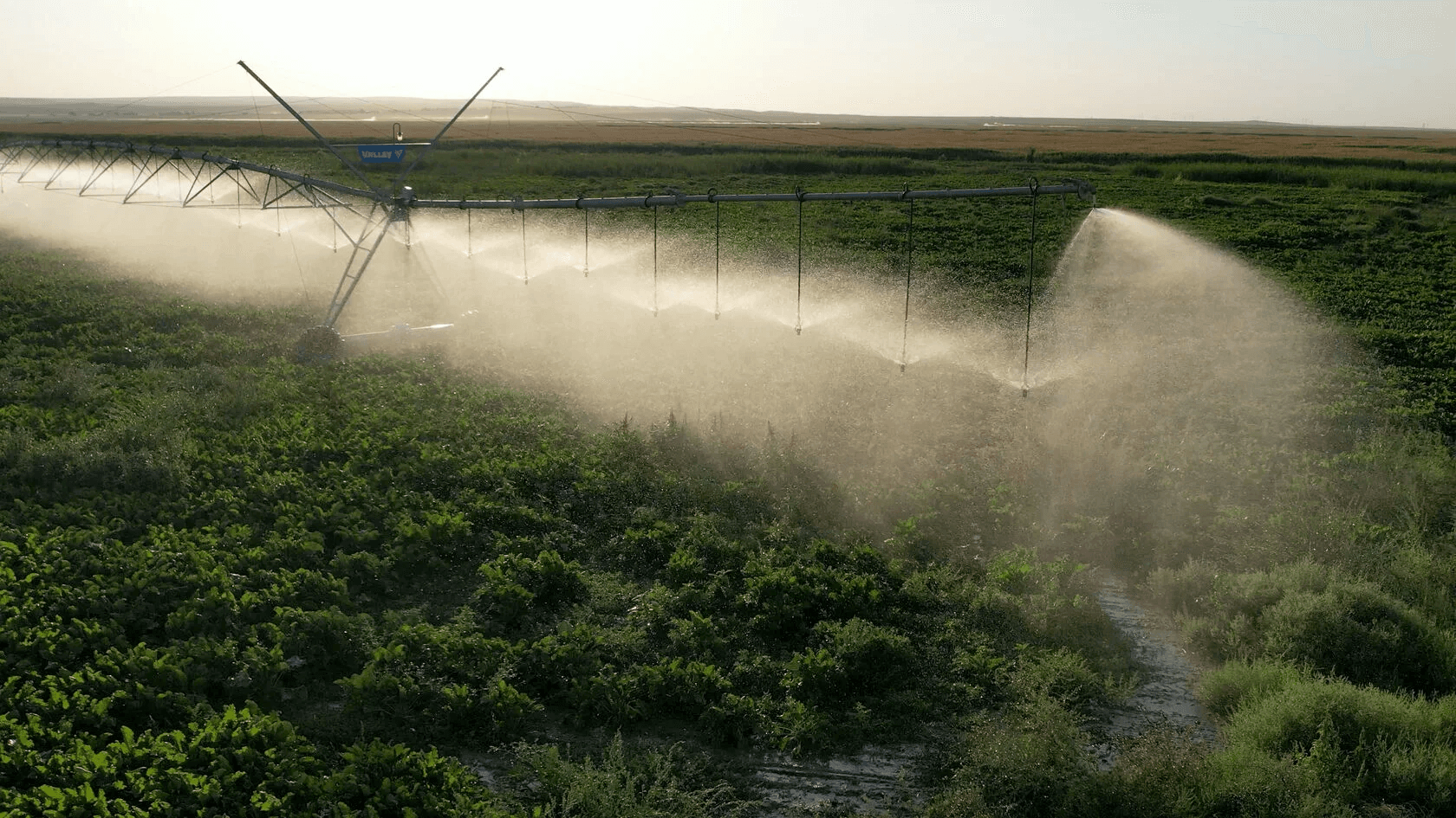 Системы орошения Valley: экономия воды перетекает в рост доходов
